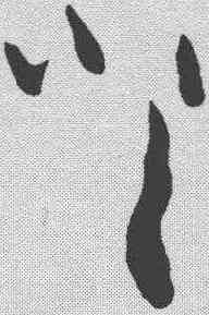 登,王羲之 ,書法字典